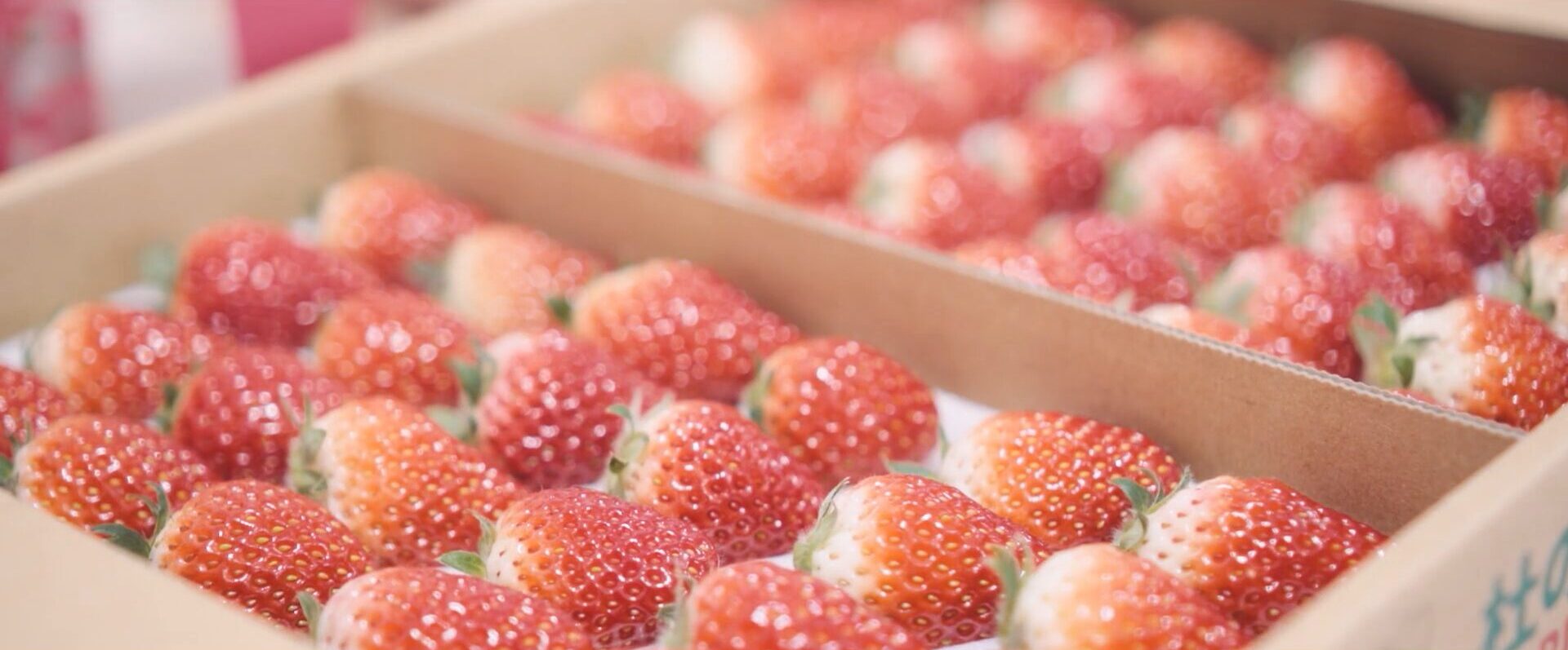 経済産業省さま 福島復興推進