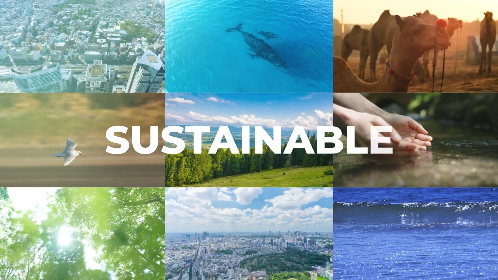 東京ガスケミカルさま 会社紹介映像